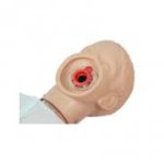 Joints d'étanchéité pour mannequin AMBU Junior