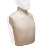 Brayden Peau de torse